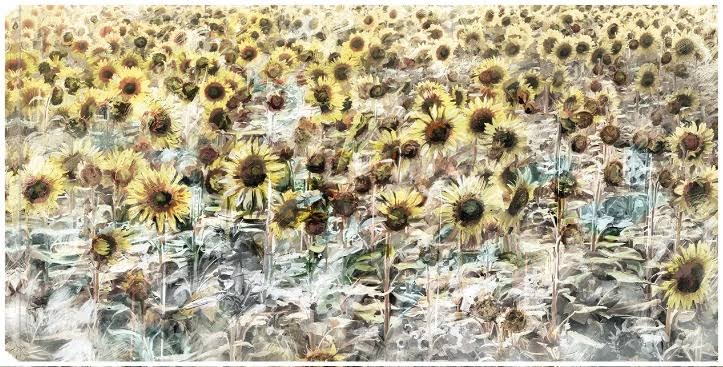 Canvas Art 40x21 I795