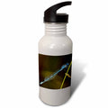 21 oz Sports Water Bottle Y7478
