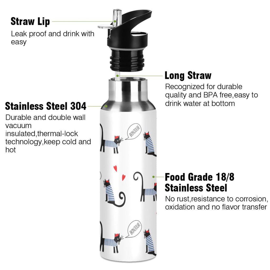 Stainless Steel Insulated Water Bottle with Straw Lid I759757