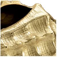 Conch - Gold F896019