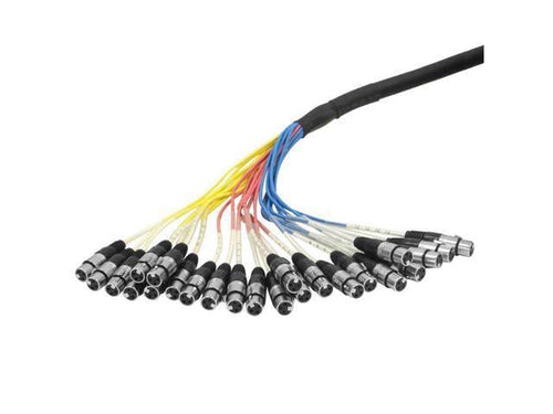 24 Channel XLR Multi-Patch Snake Cable 25 Feet P137287