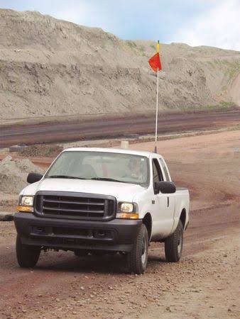 Warning Whip, 10 Ft, Flag R464458
