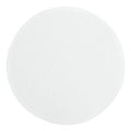 Binder Free Borosilicate Glass Filter Paper 2.7 um, 240 mm (100/Pack) N92352