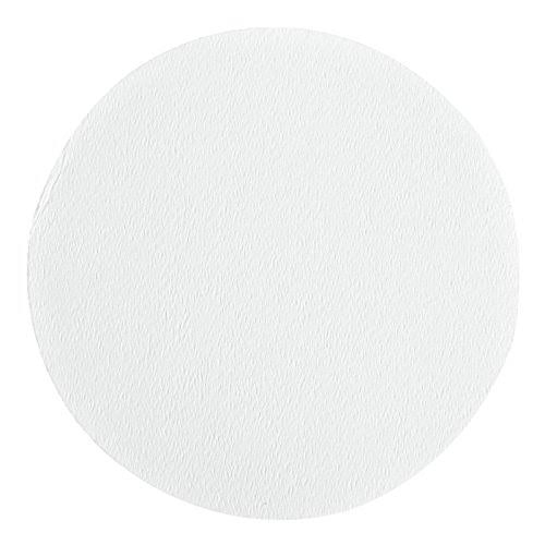 Binder Free Borosilicate Glass Filter Paper 2.7 um, 240 mm (100/Pack) N92352