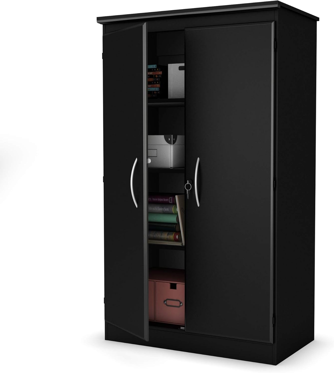 Solid Black 2-Door Storage Cabinet with Adjustable Shelves F62857