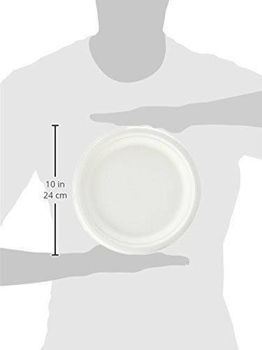 500-Count 9-Inch Compostable Sugar Cane Fiber Plate K93201