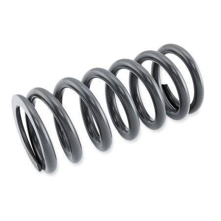 Shock Spring 4.8 kg/mm T73457