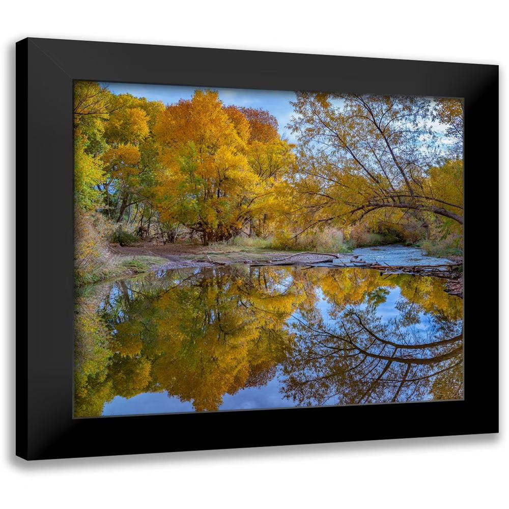 13x12 Black Framed Museum Art Print H72526