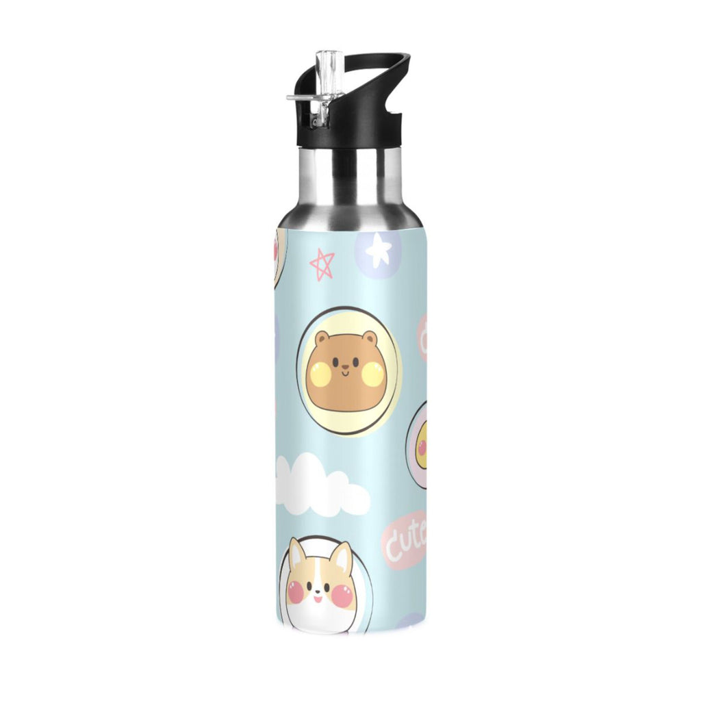 Stainless Steel Insulated Water Bottle with Straw Lid D401156