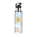 Stainless Steel Insulated Water Bottle with Straw Lid D401156