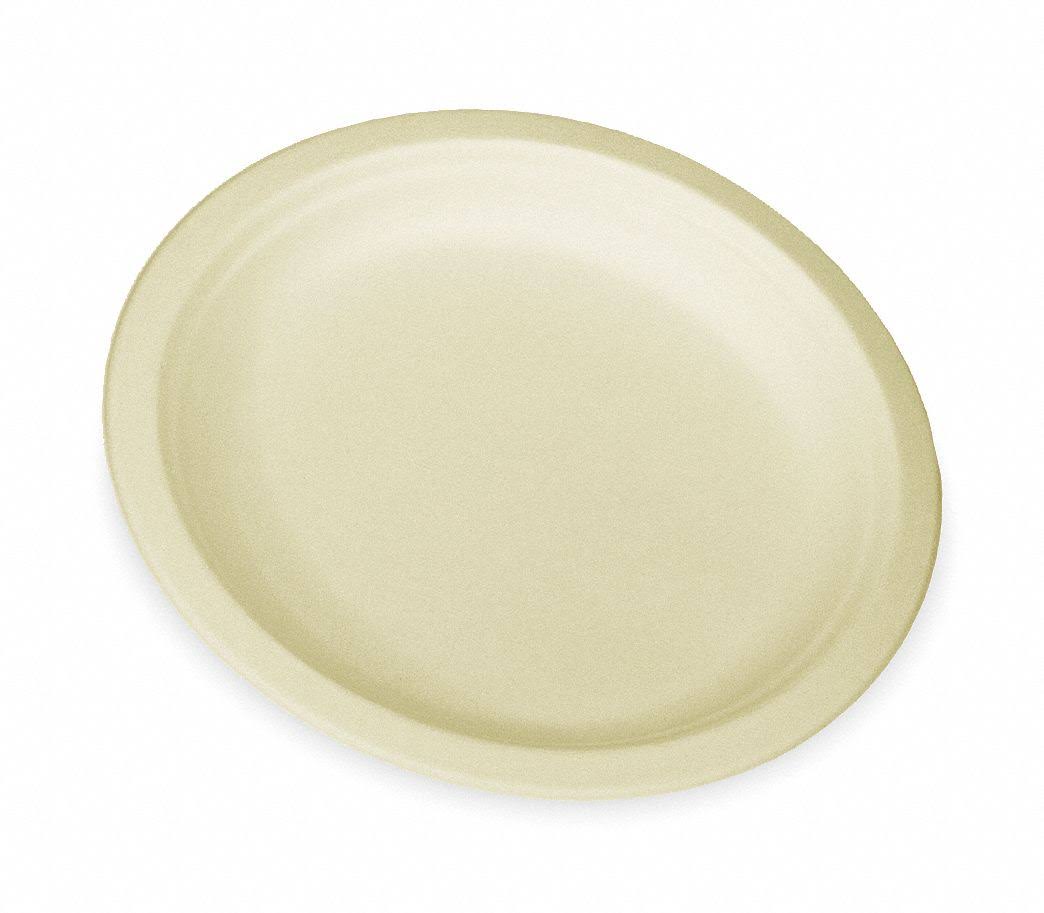 500-Count 9-Inch Compostable Sugar Cane Fiber Plate K93201