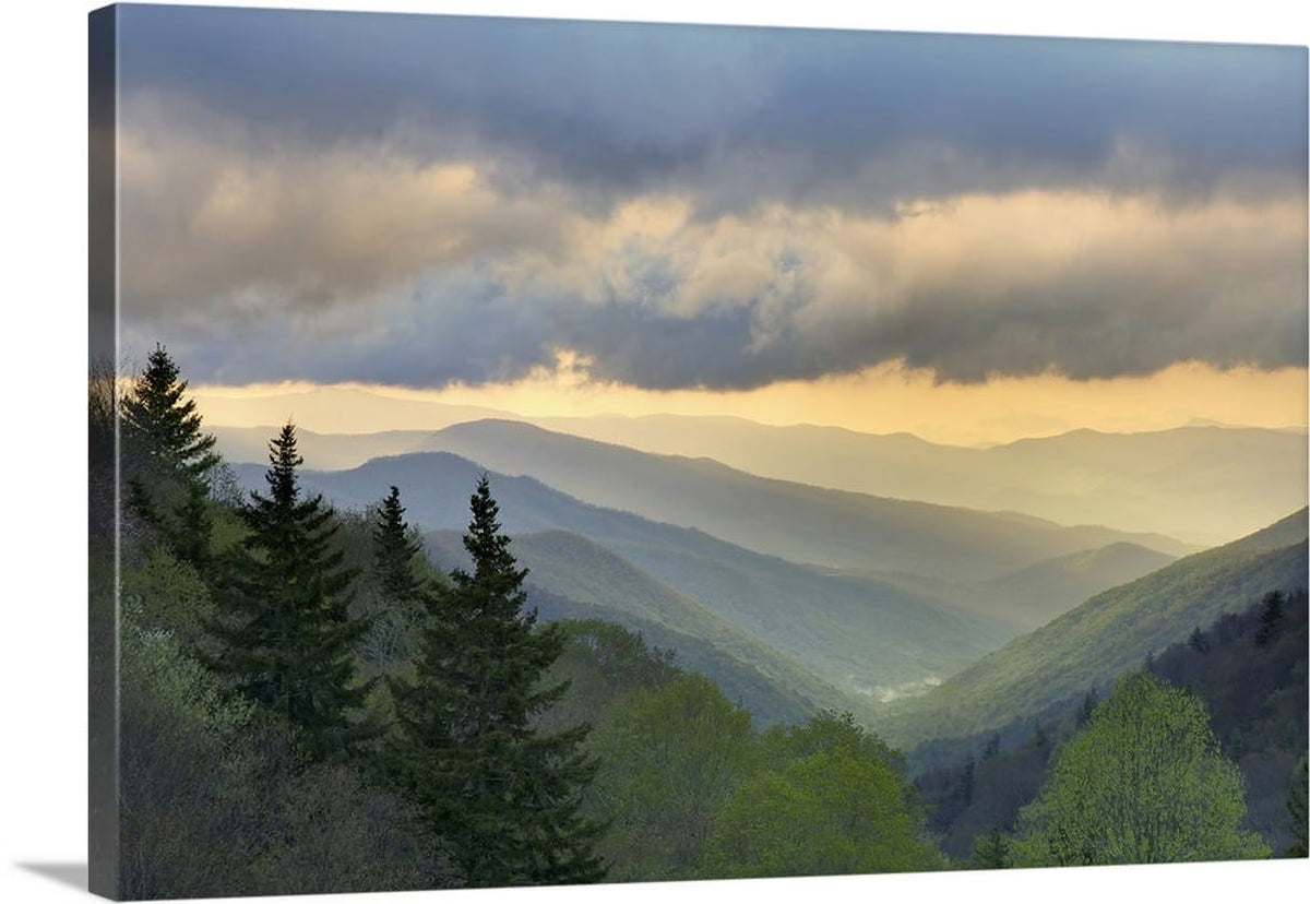 Canvas Wall Art P920583