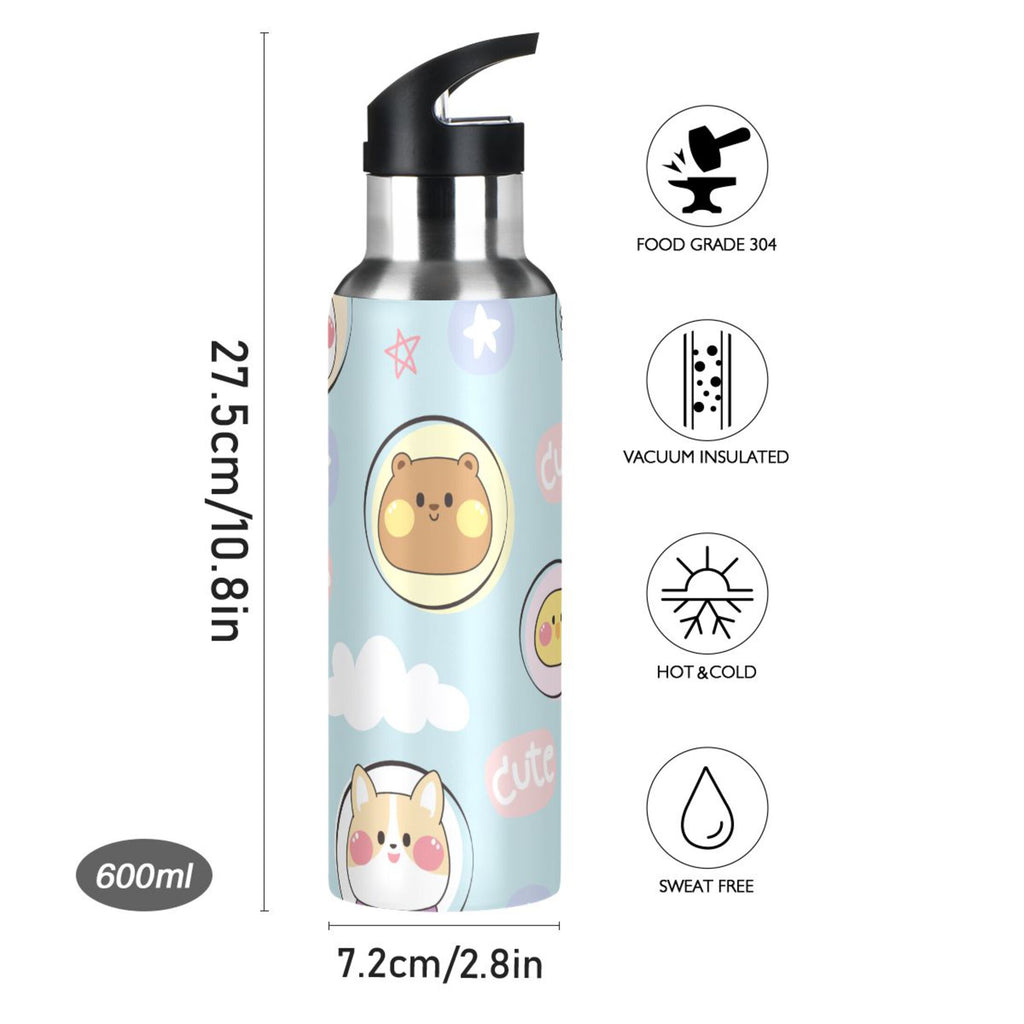 Stainless Steel Insulated Water Bottle with Straw Lid D401156