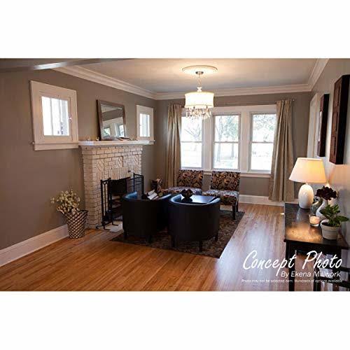 Rust Hand-Painted Ceiling Medallion Q526