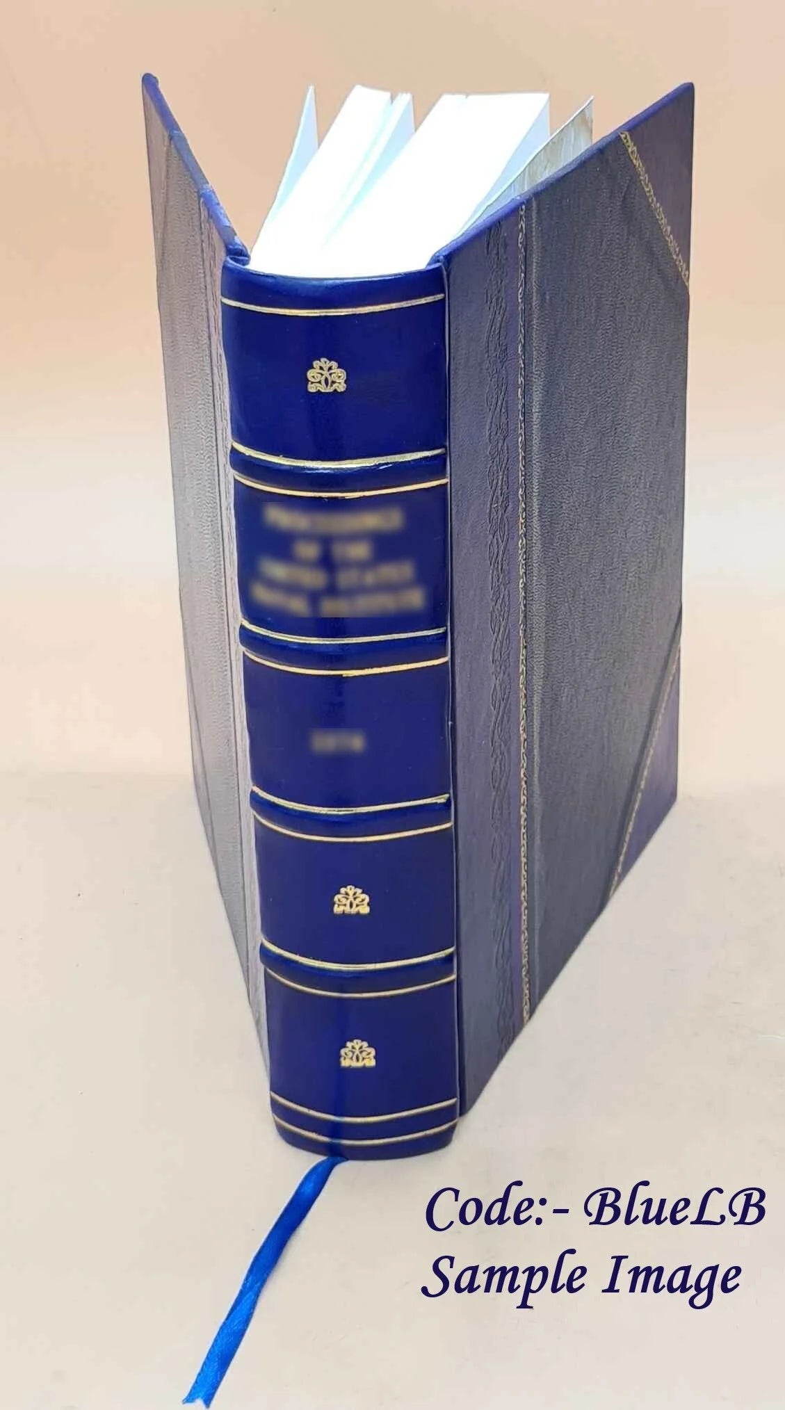 Leather Bound Book N493398