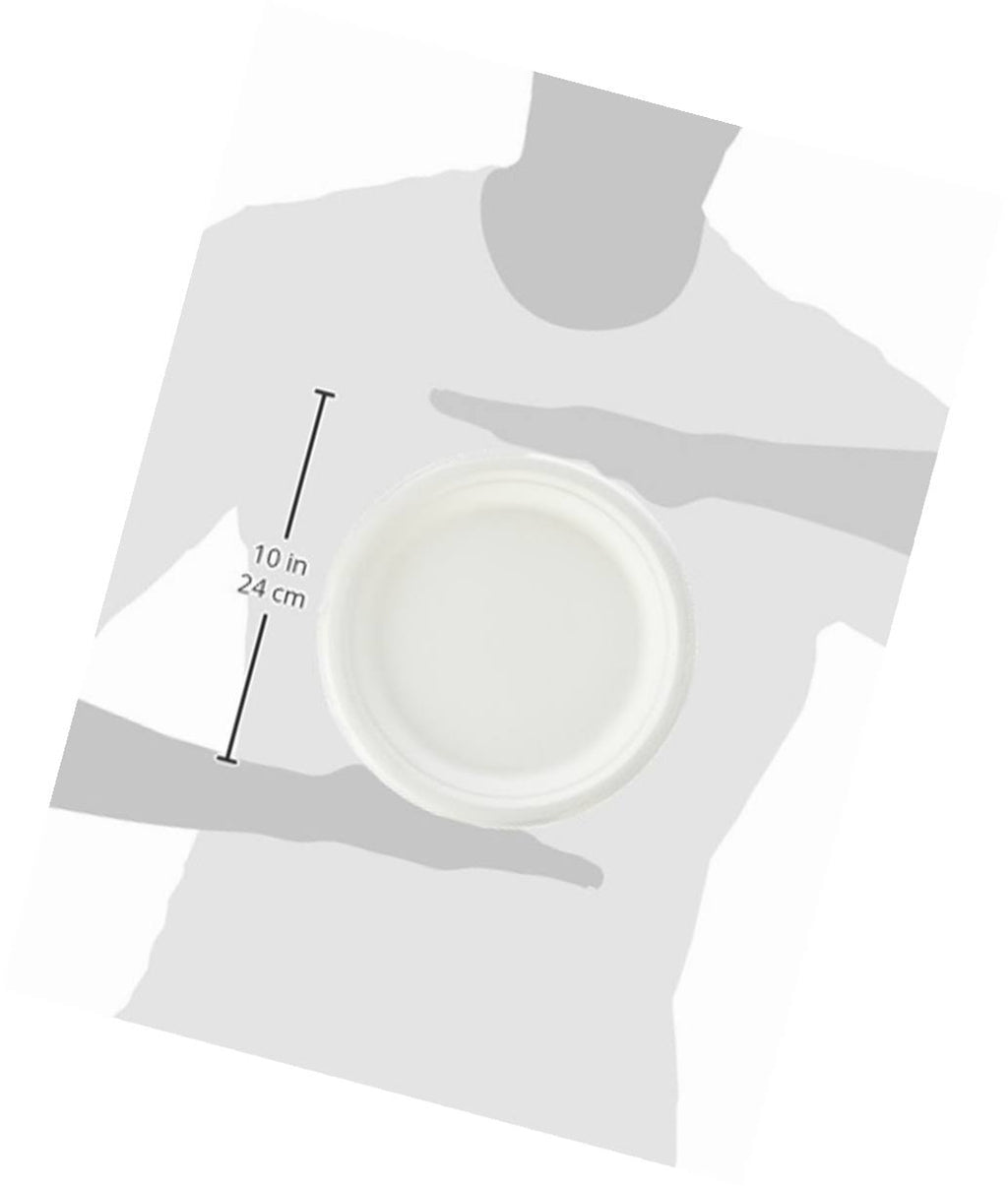 500-Count 9-Inch Compostable Sugar Cane Fiber Plate K93201