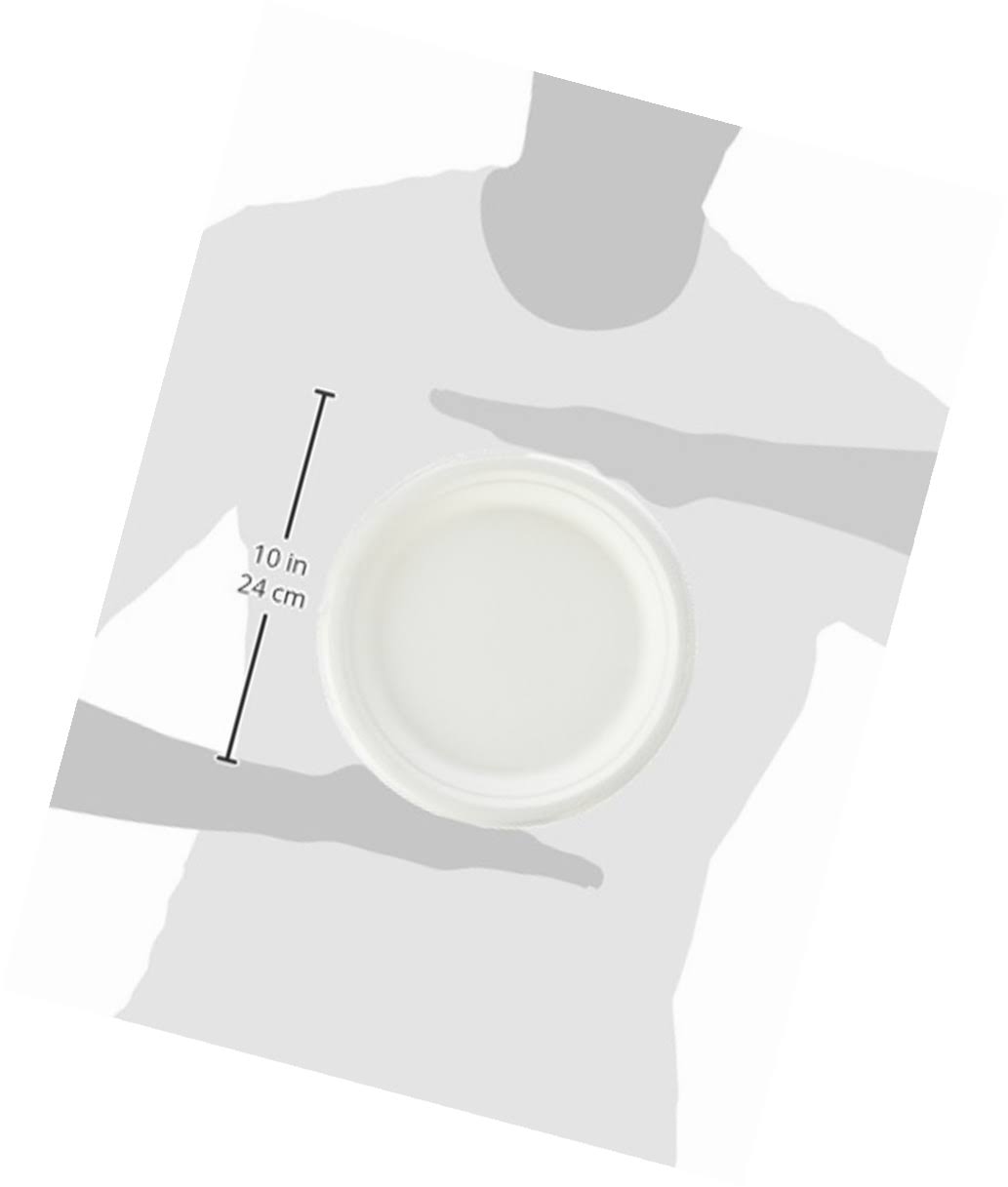 500-Count 9-Inch Compostable Sugar Cane Fiber Plate K93201