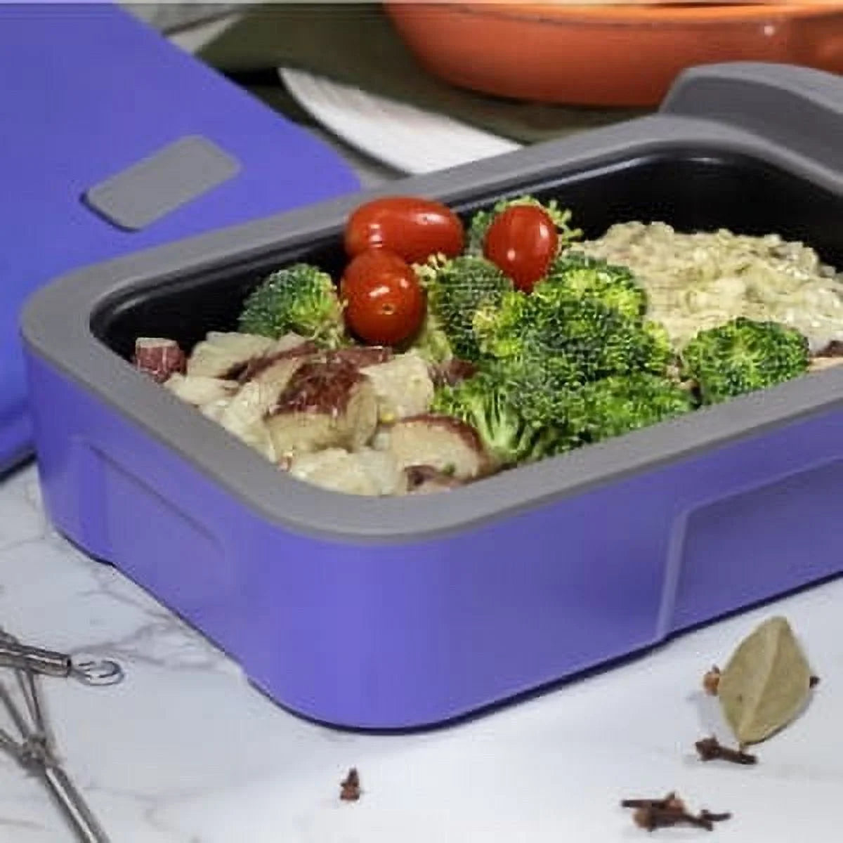 Self Heated Reusable Lunch Box and Food Warmer D573