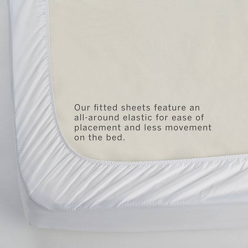 Ivory Queen Supima Cotton Sateen Fitted Sheet P871