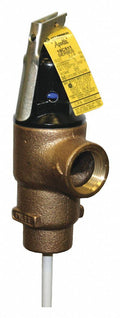 T and P Relief Valve, FNPT, 3/4 in. Inlet Y8436