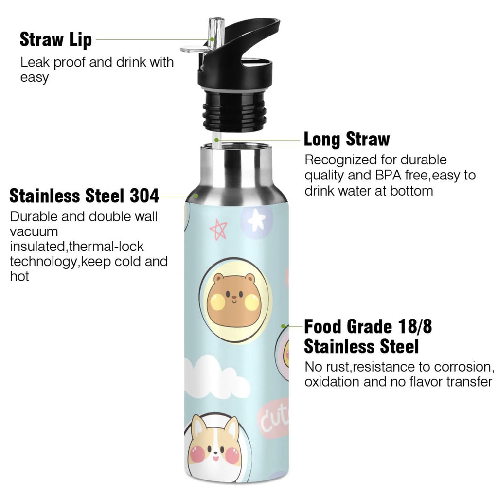 Stainless Steel Insulated Water Bottle with Straw Lid D401156