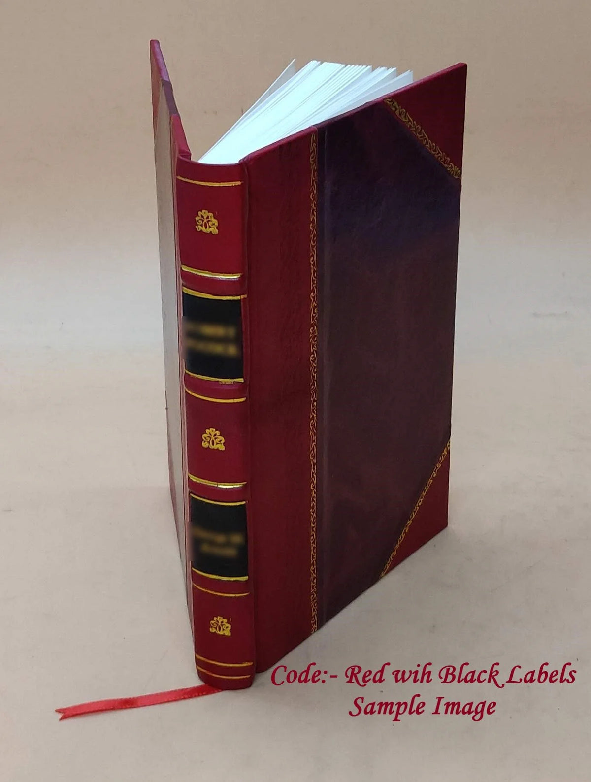 Leather Bound Book N493398