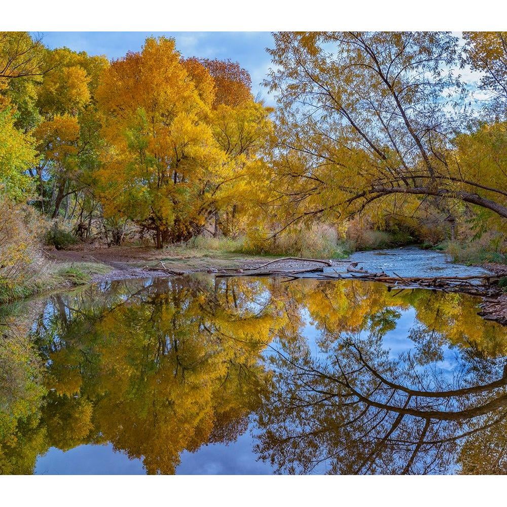 13x12 Black Framed Museum Art Print H72526