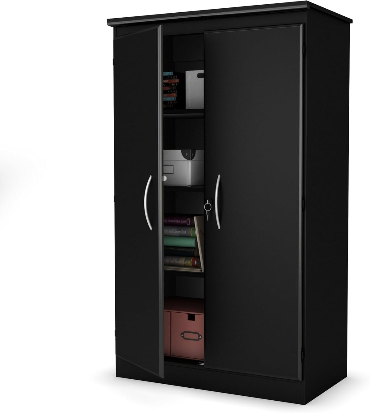 Solid Black 2-Door Storage Cabinet with Adjustable Shelves F62857
