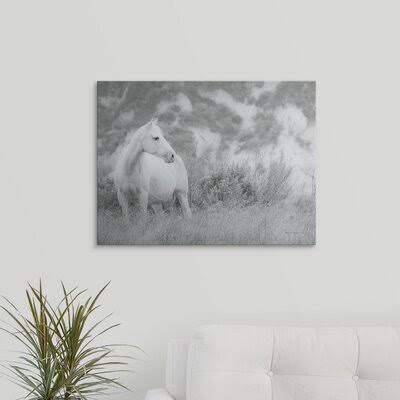 Canvas Photographic Print K601