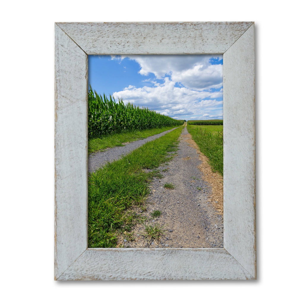 Distressed Whitewashed Frame 16x20 P82170