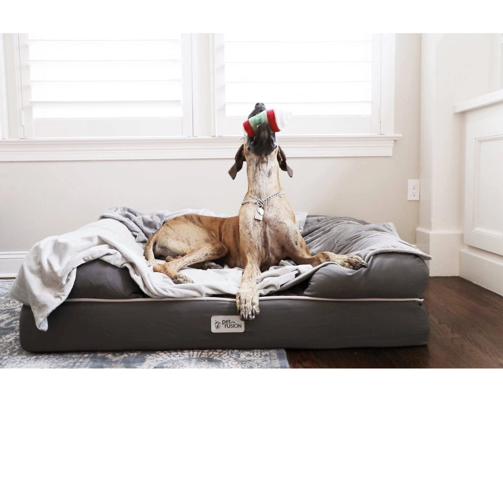 Jumbo Gray Solid Memory Foam Dog & Cat Bed D212437