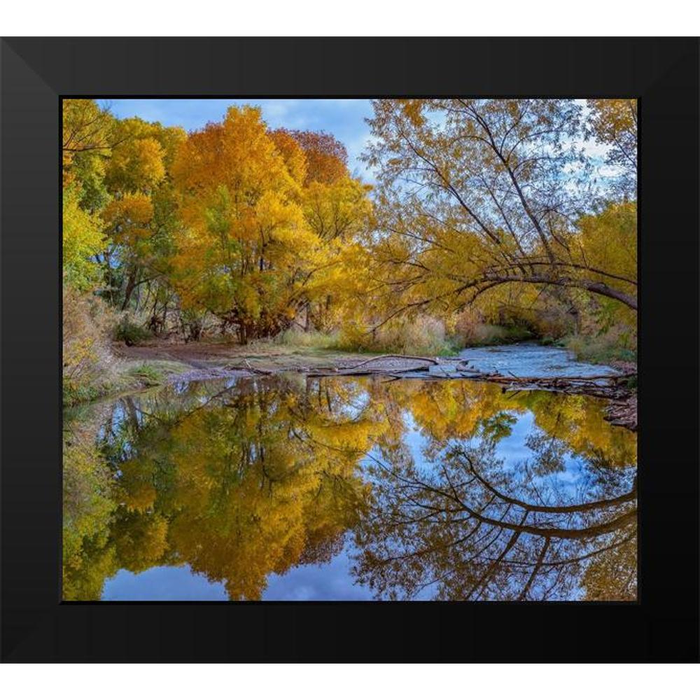 13x12 Black Framed Museum Art Print H72526